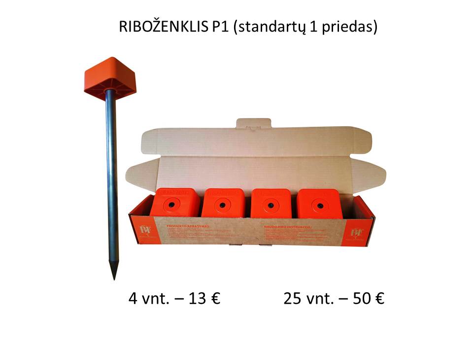 Ribozenklis P1