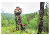 Survey markers for forest