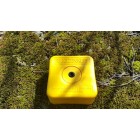 Survey marker P1 Individual