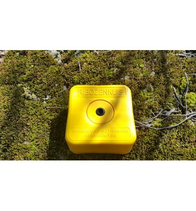 Survey marker P1 Individual